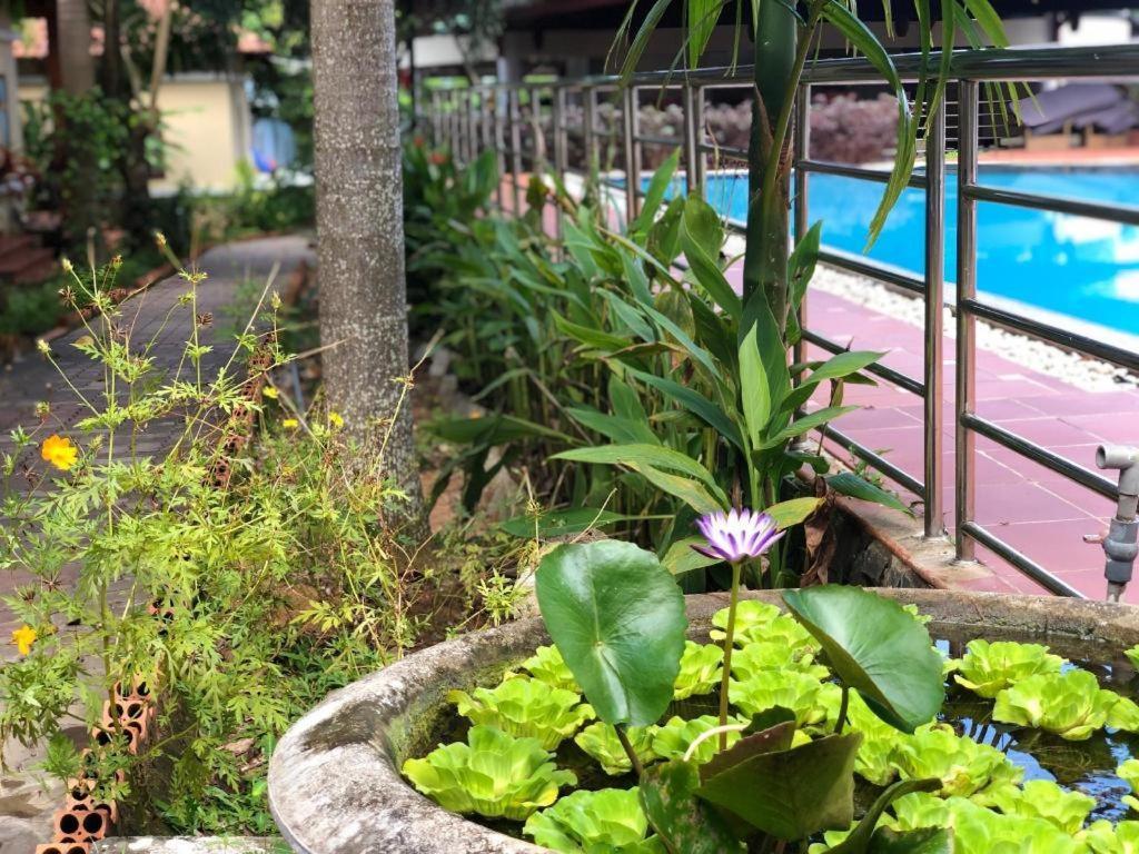 Castaways Resort ฟู้โกว๊ก ภายนอก รูปภาพ