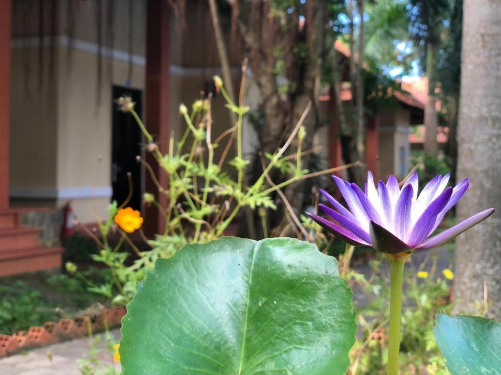 Castaways Resort ฟู้โกว๊ก ภายนอก รูปภาพ